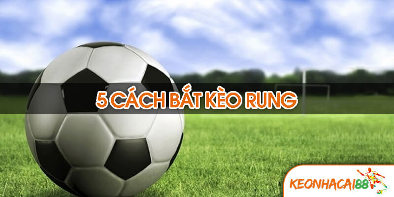 5 cach bat keo rung 5 cách bắt kèo rung hiệu quả nhất từ cao thủ