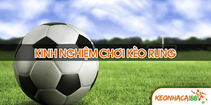 keo rung1 Những sai lầm và kinh nghiệm thực chiến từ cao thủ